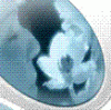 psicoterapiacognitivaexistencial@hotmail.com